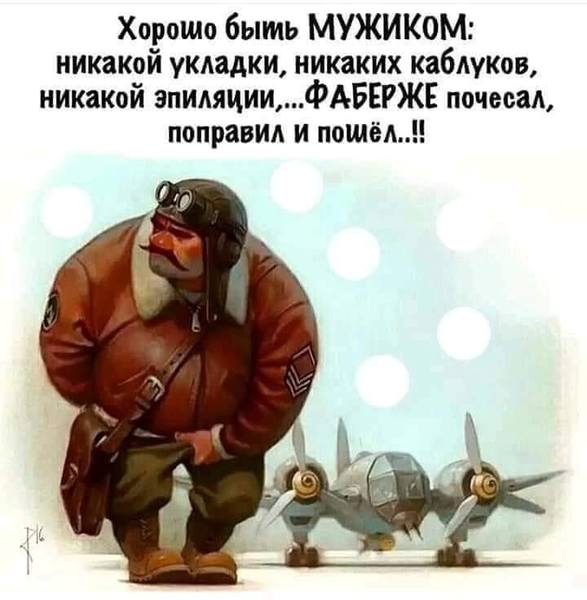 http://images.vfl.ru/ii/1566041316/7a1cea85/27568667.jpg