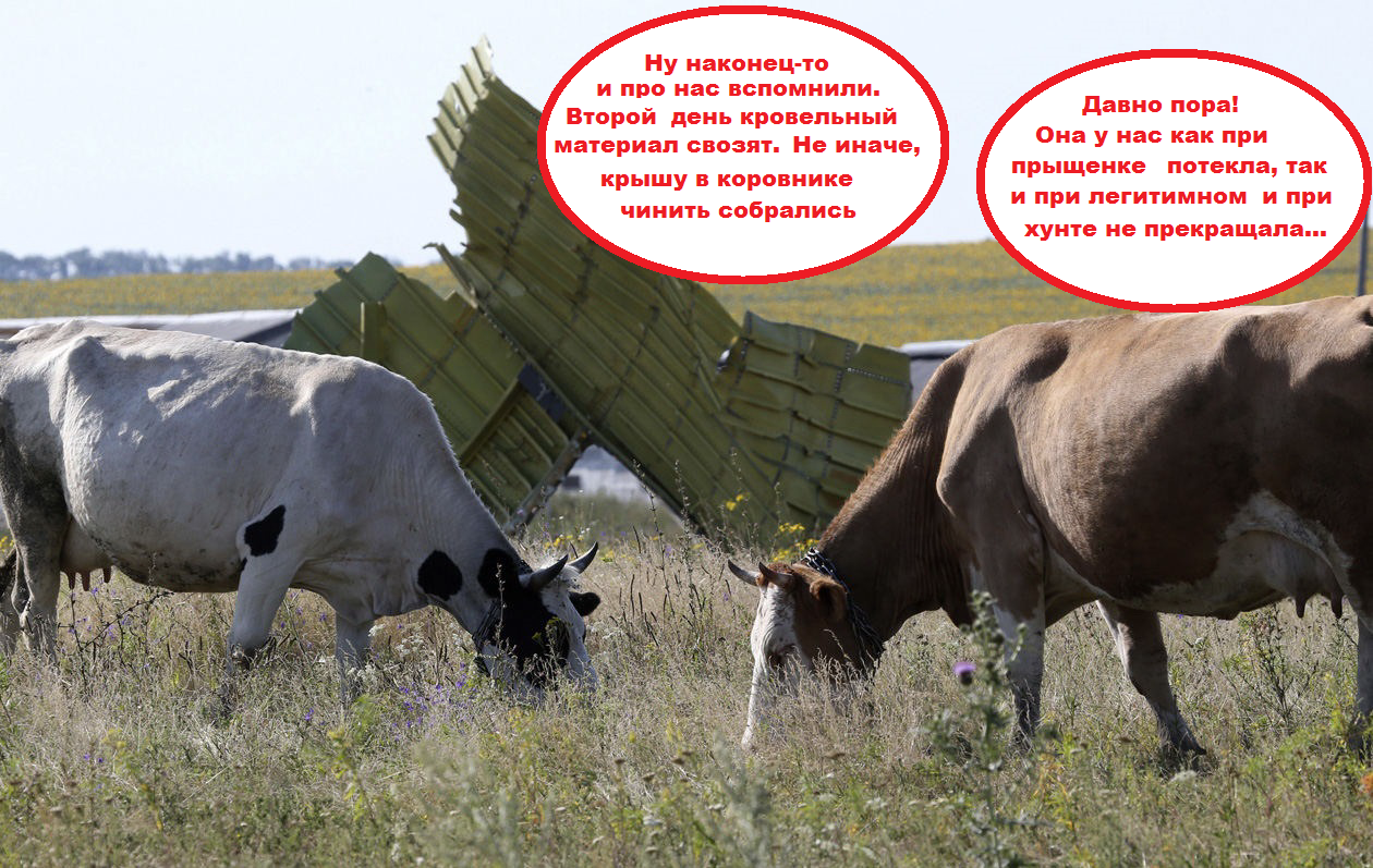 http://images.vfl.ru/ii/1409995002/d38a6abe/6247245.png