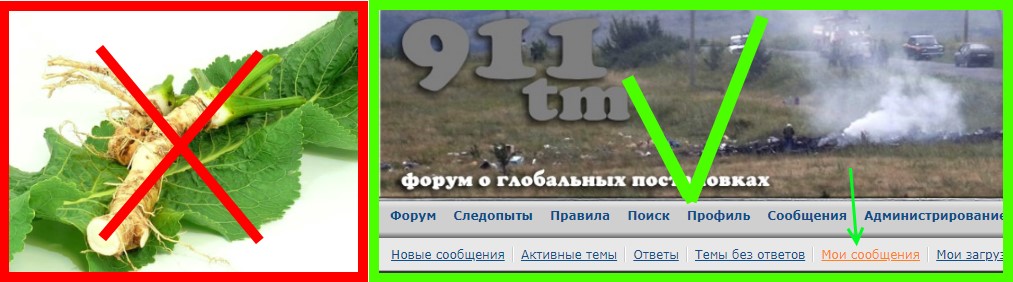 http://images.vfl.ru/ii/1541063617/68f31f91/24023677.jpg