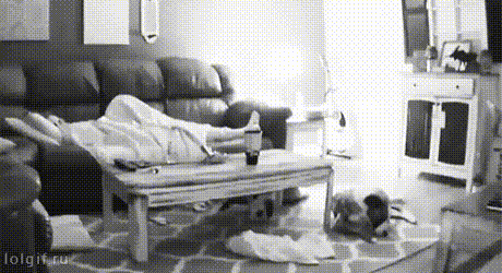 http://www.yapfiles.ru/files/1836755/0_1be4ef_ca66f0a0_orig.gif
