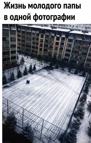 http://images.vfl.ru/ii/1551873501/778c8f4a/25659007_m.jpg