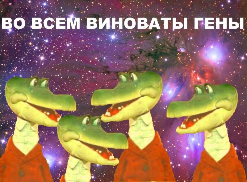 http://www.stihi.ru/pics/2015/11/26/10252.jpg