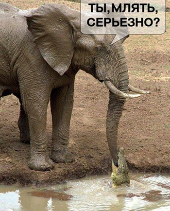 http://images.vfl.ru/ii/1528404090/cf62eeb7/22037201.jpg