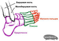 http://images.vfl.ru/ii/1545933573/81a1d3ac/24750295_s.jpg