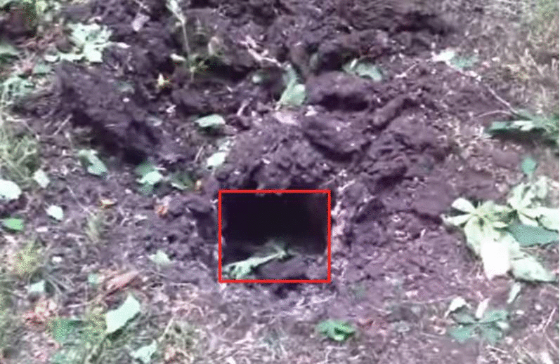 http://images.vfl.ru/ii/1403830842/69df9afd/5549604.gif