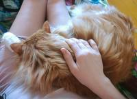 http://images.vfl.ru/ii/1547321532/cac5e62b/24928249_s.jpg
