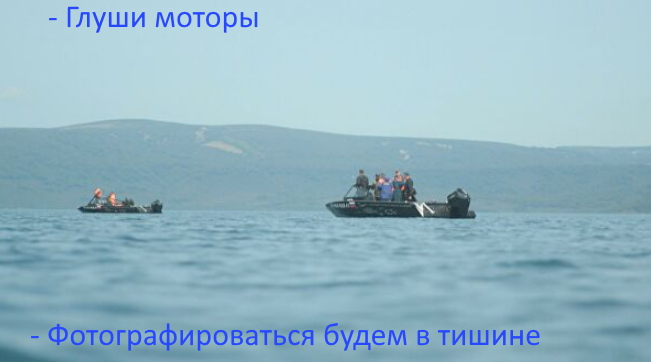 http://images.vfl.ru/ii/1629369047/6b68f82f/35550332.jpg