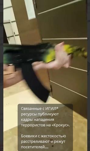 https://i.imgur.com/n4GSLoU.jpeg