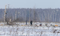 http://images.vfl.ru/ii/1518862906/79a4d421/20620717_s.jpg