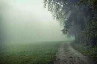 http://images.vfl.ru/ii/1502800348/f4621e16/18255980_m.jpg