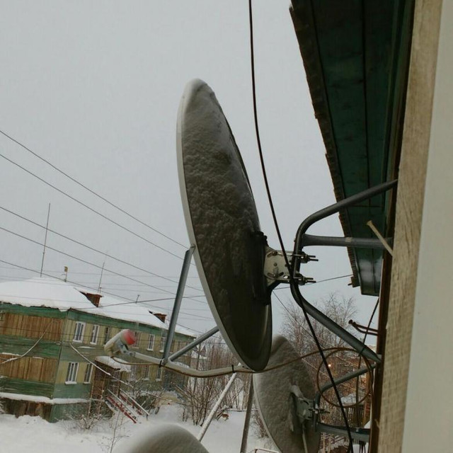 https://i.ibb.co/d5FHy2y/4803600-1000.jpg
