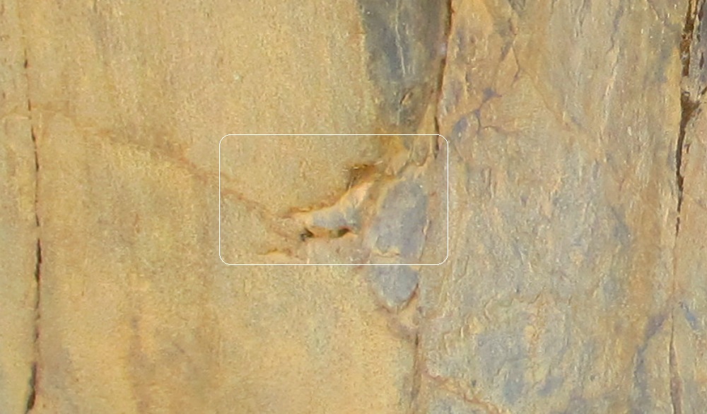 http://images.vfl.ru/ii/1509143502/78a6df4c/19173504.jpg