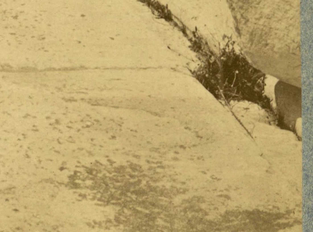 http://images.vfl.ru/ii/1500424595/71ae4c9a/17966966.jpg