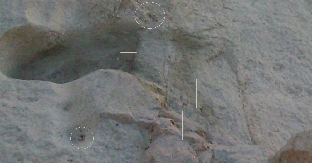 http://images.vfl.ru/ii/1514907272/65cd002c/19993875.jpg