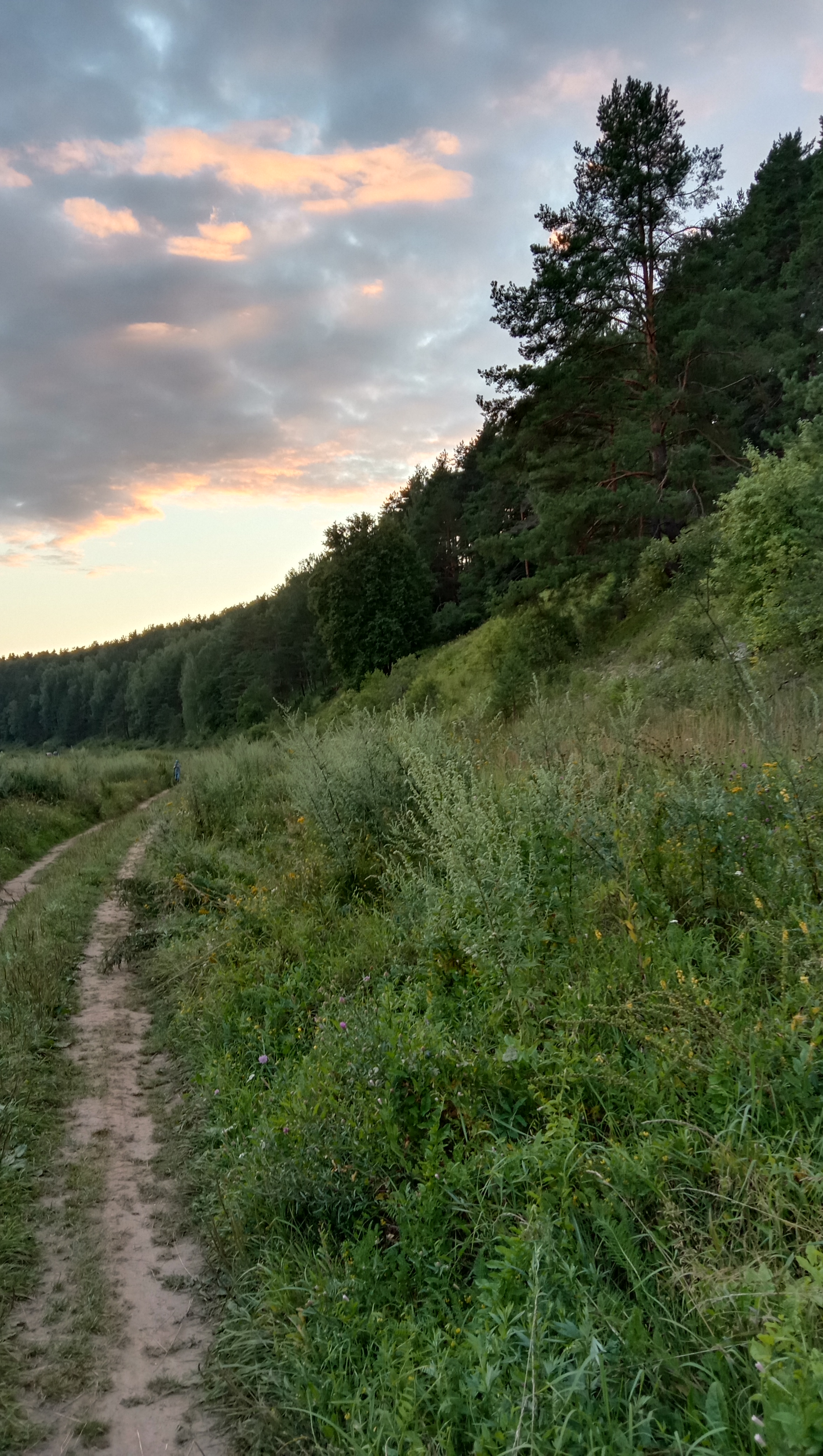 http://images.vfl.ru/ii/1632678128/de8d0ae3/36019617.jpg