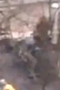 http://images.vfl.ru/ii/1418139739/486e012b/7178441.gif