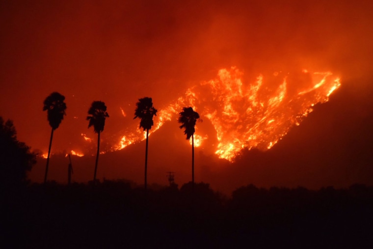 https://media3.s-nbcnews.com/j/newscms/2017_49/2249451/171205-ventura-wildfire-trees-njs-743a_4a33b77216f17ad9826e18a50430e47f.fit-760w.jpg