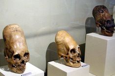 https://s-media-cache-ak0.pinimg.com/236x/5c/b7/e9/5cb7e9ff8586c083fff7ed2df295ebc5.jpg