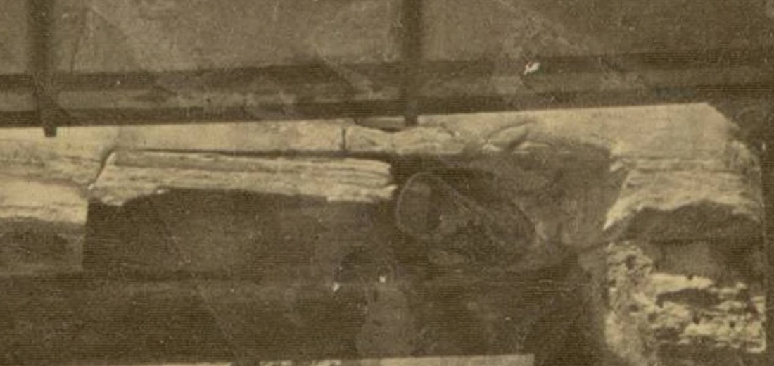http://images.vfl.ru/ii/1500588286/d66f7565/17986685.jpg