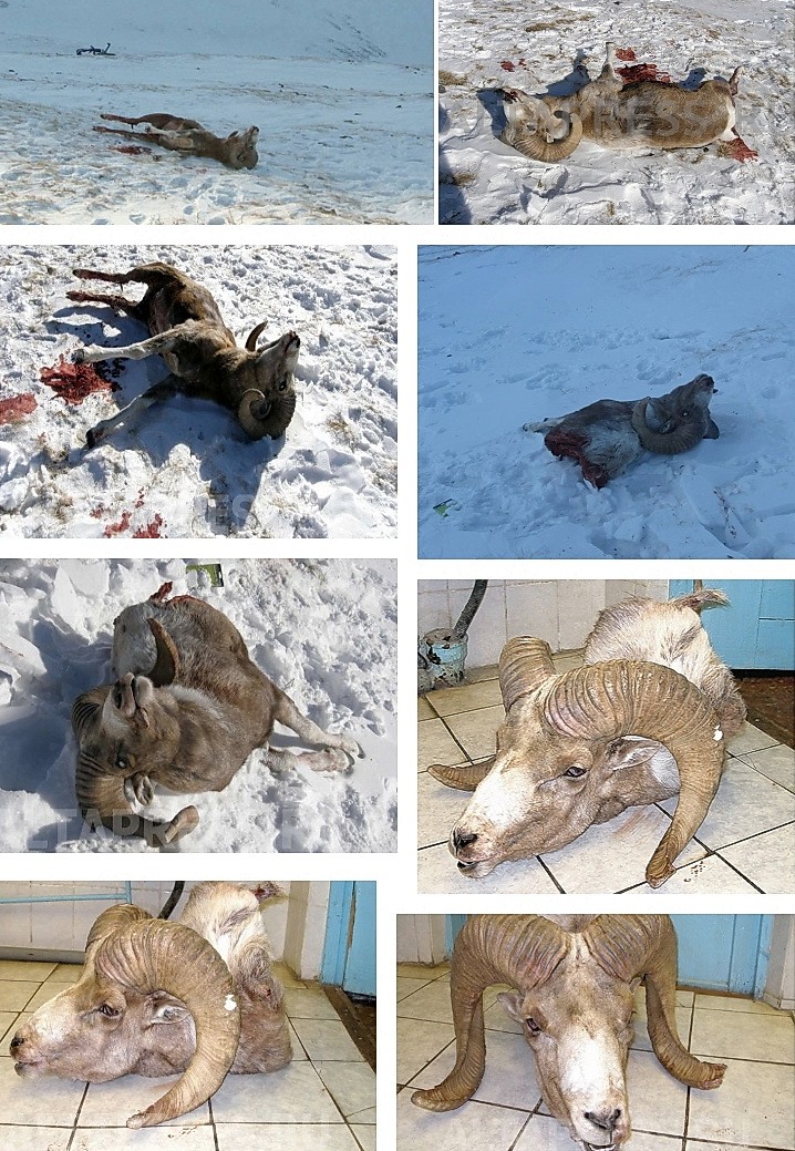 http://images.vfl.ru/ii/1414609557/6dc987a5/6790509.jpg