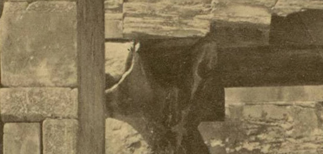 http://images.vfl.ru/ii/1500587948/6a1143fd/17986664.jpg