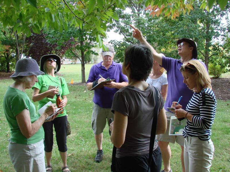 http://images.vfl.ru/ii/1498849945/7f3d624e/17771478.jpg