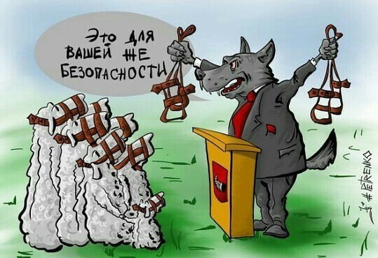 http://images.vfl.ru/ii/1604292255/acca4279/32154847.jpg