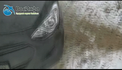 http://images.vfl.ru/ii/1418155546/01bf188f/7180770.gif