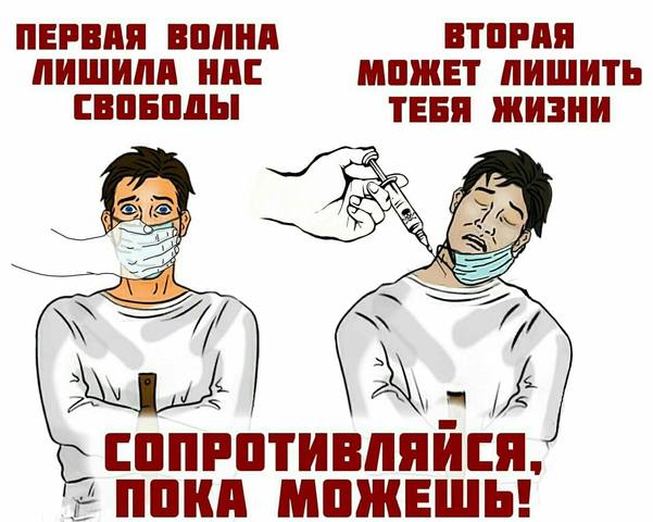http://images.vfl.ru/ii/1603495377/85facd8e/32038798_m.jpg