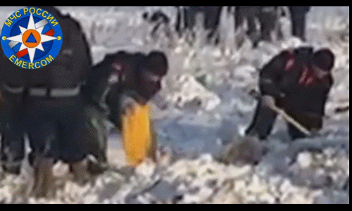 http://images.vfl.ru/ii/1518555401/8af9ca6e/20576462.gif