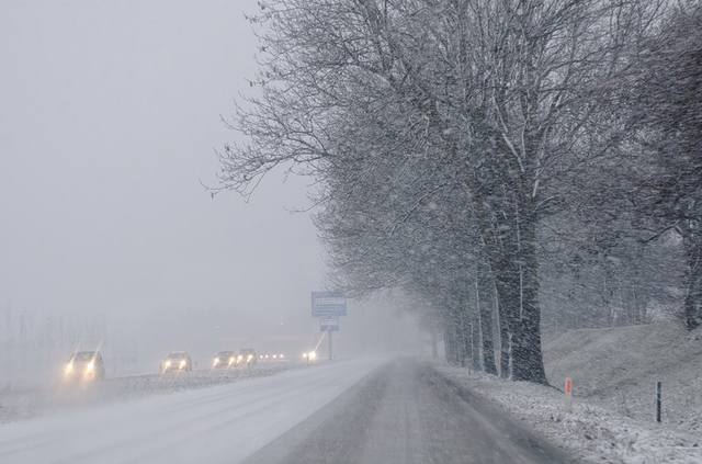http://images.vfl.ru/ii/1548847115/a73360df/25173160_m.jpg