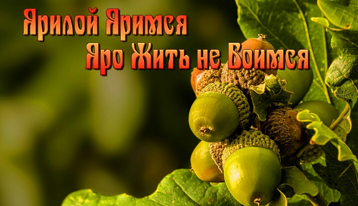 http://images.vfl.ru/ii/1616324883/f8a1237e/33758596.jpg