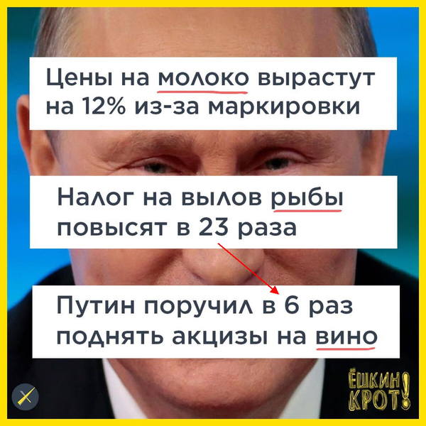 http://images.vfl.ru/ii/1570036700/637c0591/28051061.jpg