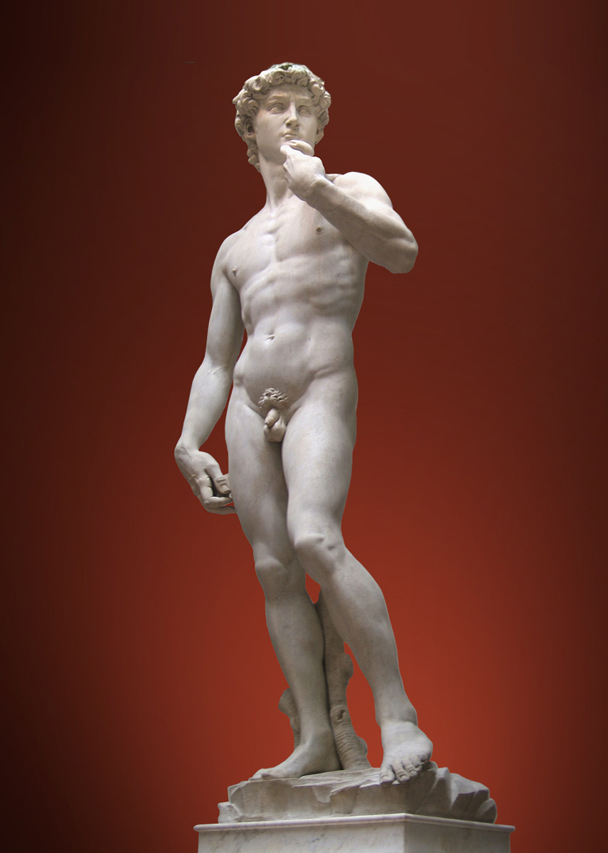 https://upload.wikimedia.org/wikipedia/commons/2/20/David_de_Michelangelo_2.jpg