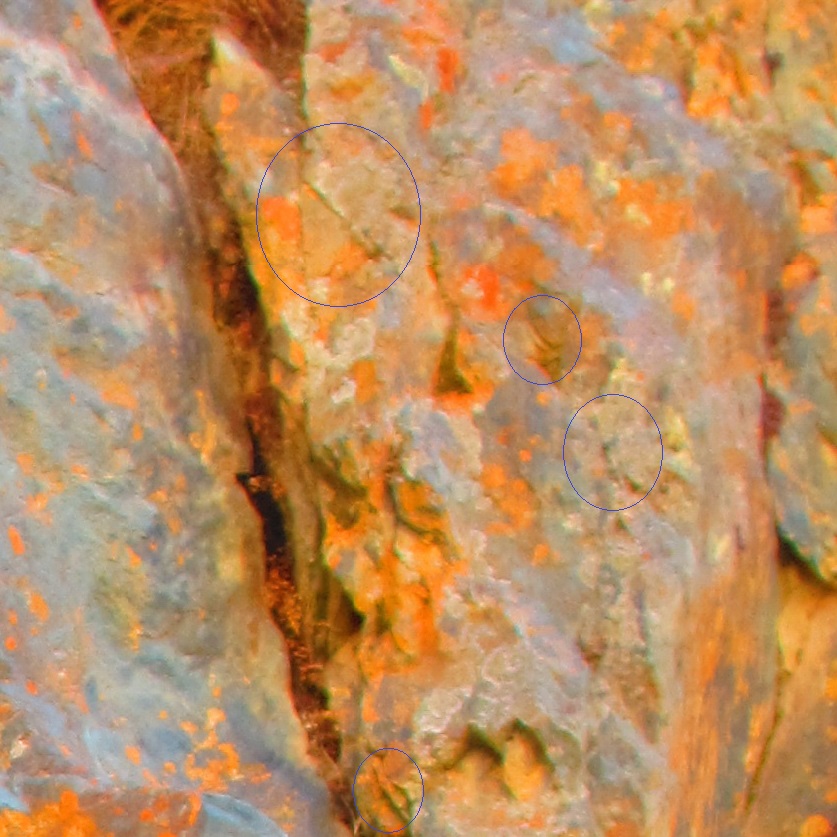 http://images.vfl.ru/ii/1509146769/4a7caca0/19173691.jpg