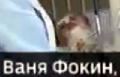 http://images.vfl.ru/ii/1546873597/dd82a887/24854428_m.jpg
