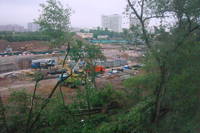 http://images.vfl.ru/ii/1496176344/e5218499/17406455_s.jpg