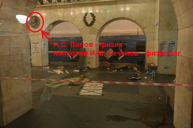 http://images.vfl.ru/ii/1494833757/1d39d8f9/17230123.jpg