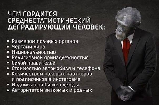 http://images.vfl.ru/ii/1564302939/9df3c7aa/27357858_m.jpg