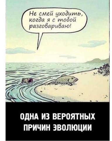 http://images.vfl.ru/ii/1566487234/23b07493/27623304_m.jpg