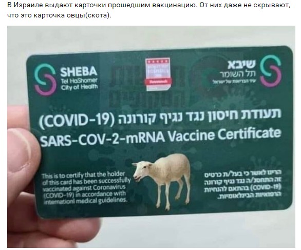 https://i.ibb.co/8MZgGqC/01.jpg
