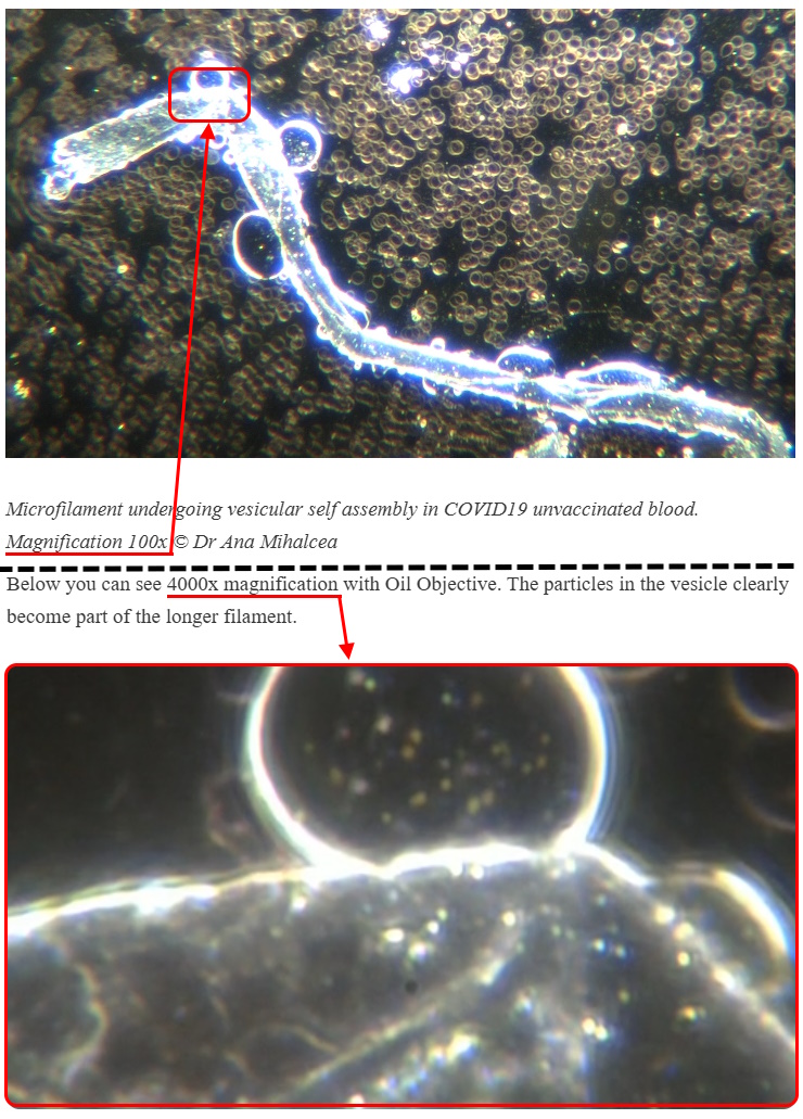 https://i4.imageban.ru/out/2026/01/15/72b0c004cdde5cebb49b0d8a4665e1fb.jpg
