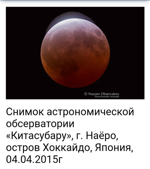 https://i.ibb.co/BL5qRTb/20210205-210552.jpg
