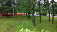 http://images.vfl.ru/ii/1499163587/7625e5f5/17810560_s.jpg