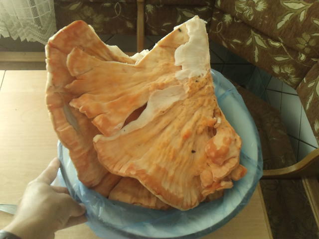 http://images.vfl.ru/ii/1505756585/25cdb0c8/18651379.jpg