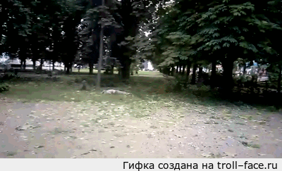 http://images.vfl.ru/ii/1405133959/915c400d/5681625.gif