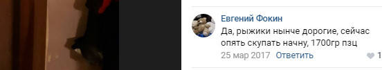 http://images.vfl.ru/ii/1548229663/06ff1319/25070623_m.jpg