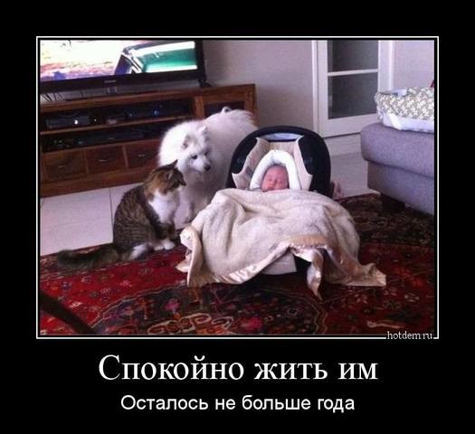 http://images.vfl.ru/ii/1501092317/4a4a0104/18043438.jpg