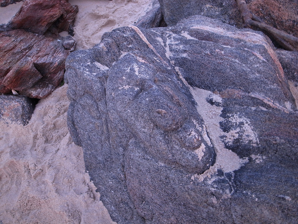 http://images.vfl.ru/ii/1492987136/5d84565e/16974183.jpg