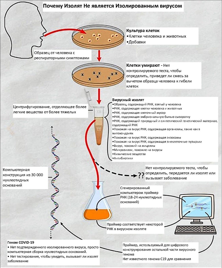 http://images.vfl.ru/ii/1643182707/95564476/37725638.jpg